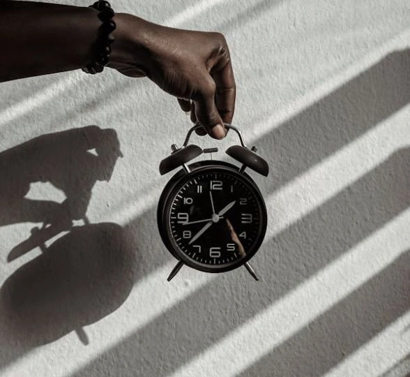 Top It company Brainz1 Techub -Fast and Reliable Development Services || Best It company Brainz1 Techub -Fast and Reliable Development Services 